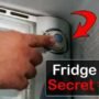 Refrigerator में इस बटन का होता है बेहद जरूरी काम, लोग दबाने से डरते