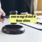 ससुर की संपत्ति में दामाद का कितना अधिकार? हाईकोर्ट ने सुनाया बड़ा फैसला