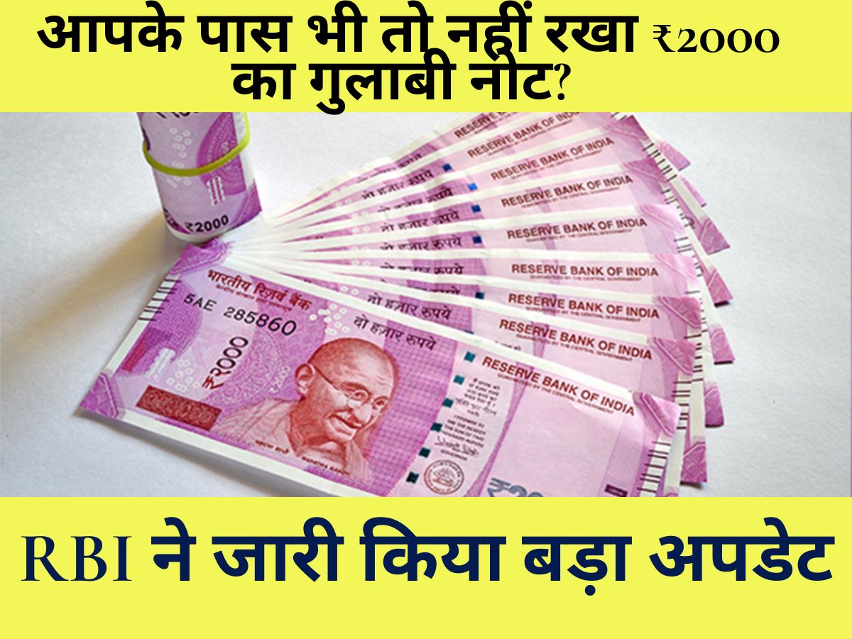 2000 Rupee Notes : आपके पास भी तो नहीं रखा ₹2000 का गुलाबी नोट? RBI ने जारी किया बड़ा अपडेट, जानें अब क्या करें