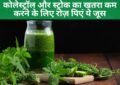 High cholesterol diet : कोलेस्ट्रॉल और स्ट्रोक का खतरा कम करने के लिए रोज़ पिएं ये 6 कमाल के जूस