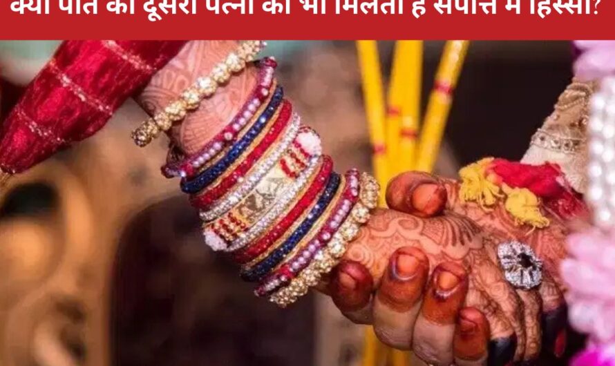 wife property rights : क्या पति की दूसरी पत्नी को भी मिलता है संपत्ति में हिस्सा? जानिए कानून क्या कहता है और कब मिलता है अधिकार