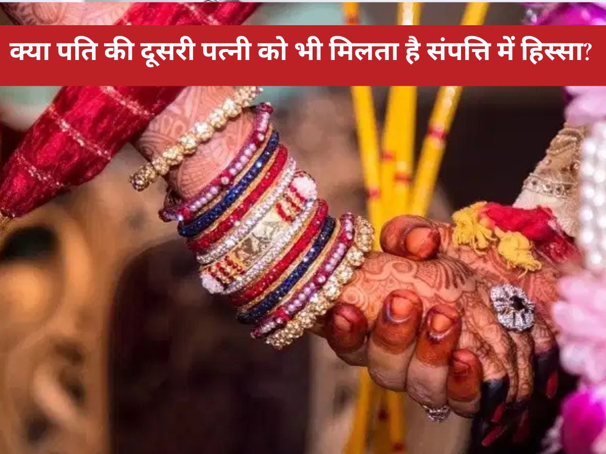 wife property rights : क्या पति की दूसरी पत्नी को भी मिलता है संपत्ति में हिस्सा? जानिए कानून क्या कहता है और कब मिलता है अधिकार