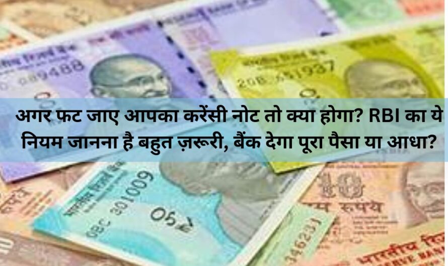 RBI Rule : अगर फट जाए आपका करेंसी नोट तो क्या होगा? RBI का ये नियम जानना है बहुत ज़रूरी, बैंक देगा पूरा पैसा या आधा?