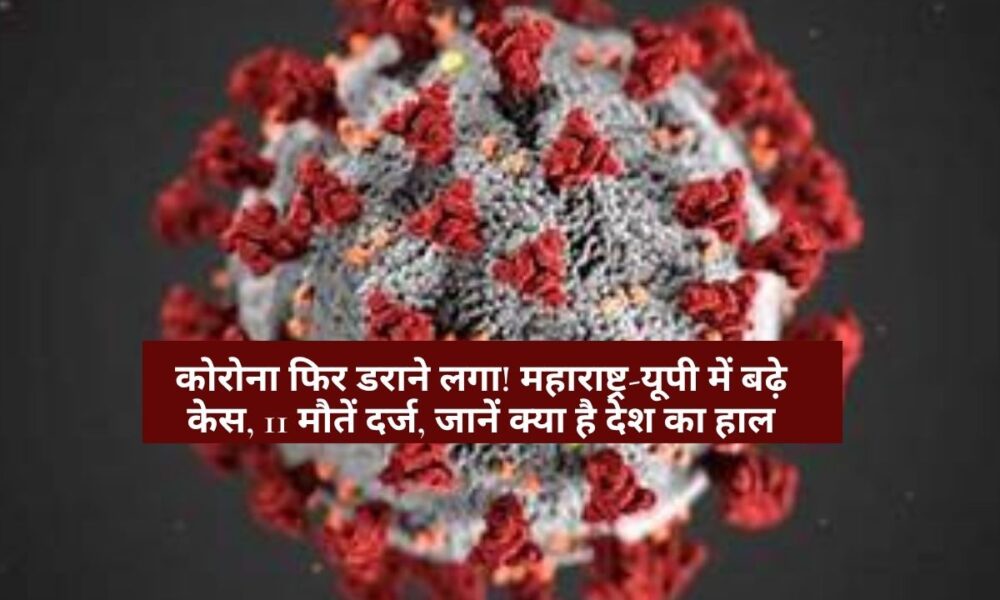 Coronavirus updates: कोरोना फिर डराने लगा! महाराष्ट्र-यूपी में बढ़े केस, 11 मौतें दर्ज, जानें क्या है देश का हाल