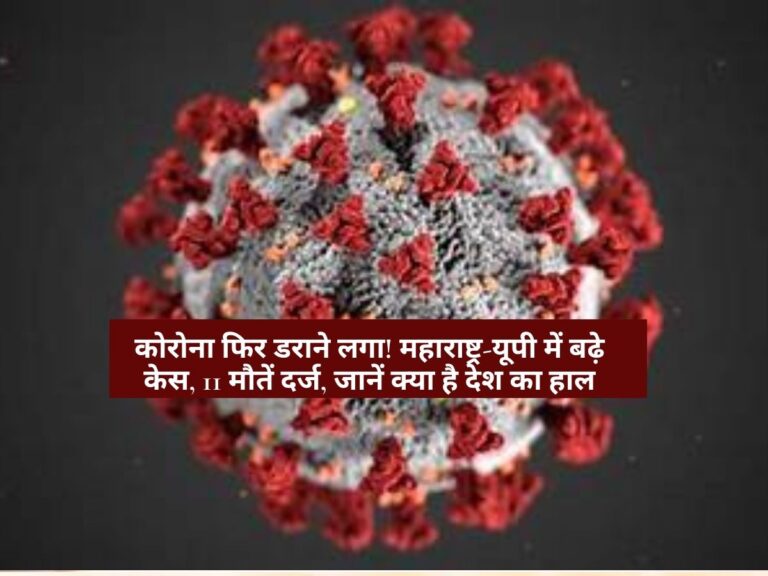 Coronavirus updates: कोरोना फिर डराने लगा! महाराष्ट्र-यूपी में बढ़े केस, 11 मौतें दर्ज, जानें क्या है देश का हाल