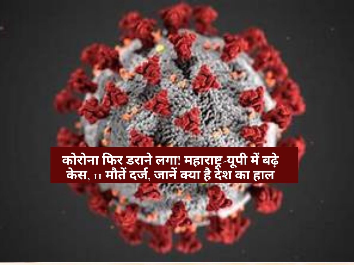 Coronavirus updates: कोरोना फिर डराने लगा! महाराष्ट्र-यूपी में बढ़े केस, 11 मौतें दर्ज, जानें क्या है देश का हाल