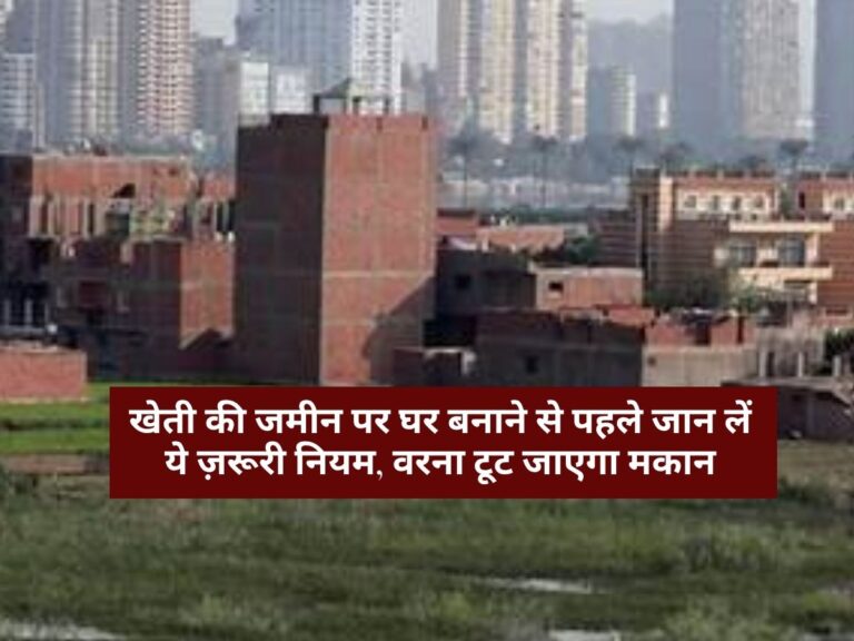 House Construction : खेती की जमीन पर घर बनाने से पहले जान लें ये ज़रूरी नियम, वरना टूट जाएगा मकान