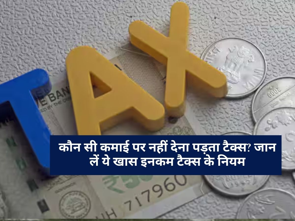 Income Tax Rule : कौन सी कमाई पर नहीं देना पड़ता टैक्स? जान लें ये खास इनकम टैक्स के नियम