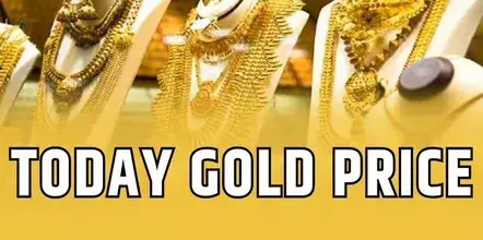 Gold Rate Updates : सोना ‘उल्टे पैर’ दौड़ा खरीदने का शानदार मौका, जानें आज 10 ग्राम गोल्ड का ताज़ा रेट