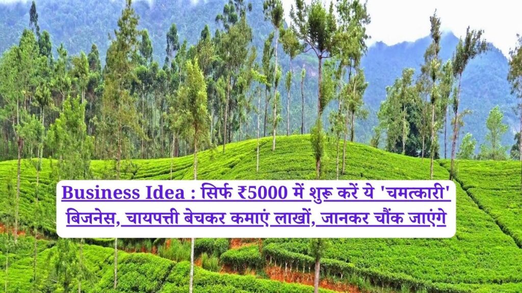 Business Idea : सिर्फ ₹5000 में शुरू करें ये 'चमत्कारी' बिजनेस, चायपत्ती बेचकर कमाएं लाखों, जानकर चौंक जाएंगे