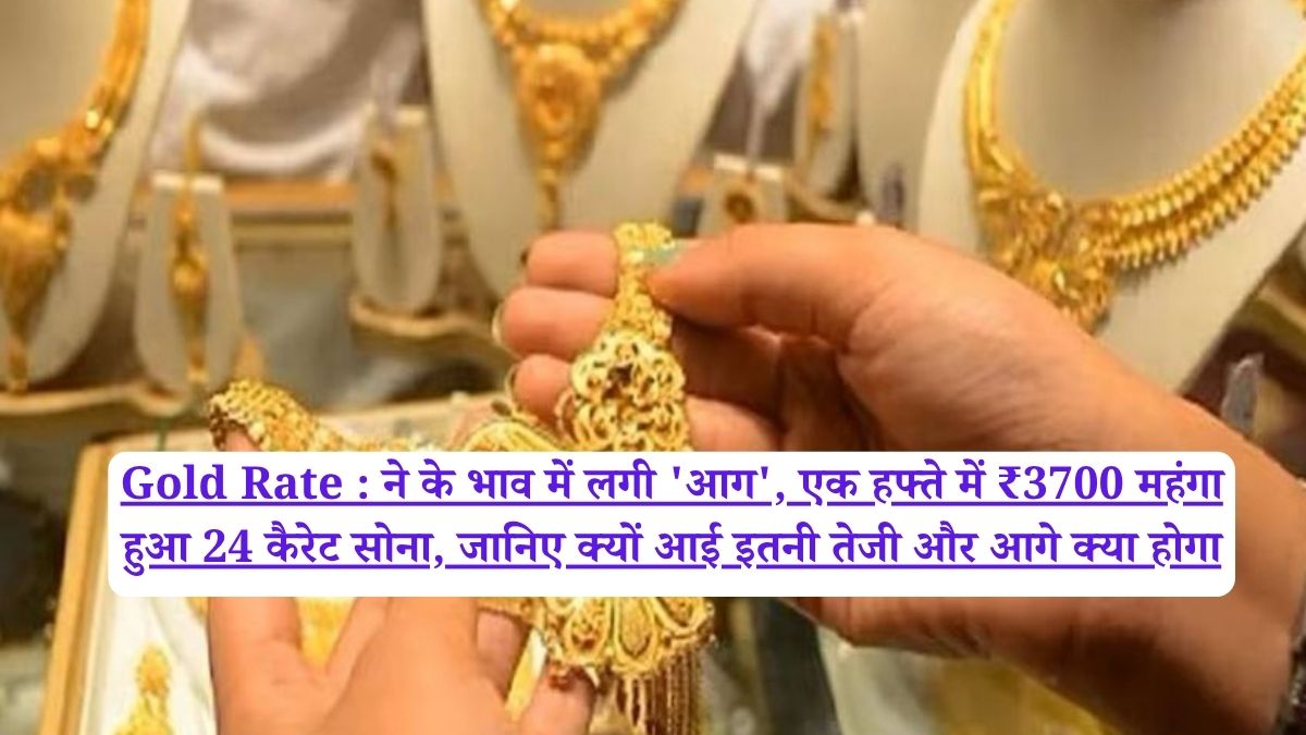 Gold Rate : ने के भाव में लगी 'आग', एक हफ्ते में ₹3700 महंगा हुआ 24 कैरेट सोना, जानिए क्यों आई इतनी तेजी और आगे क्या होगा