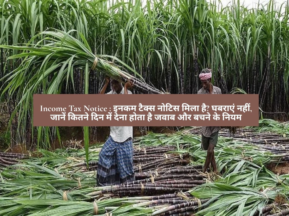 Uttar Pradesh News : यूपी में जंगली जानवरों से बचेगी किसानों की फसल, योगी सरकार देगी अन्नदाताओं को अभेद्य सुरक्षा