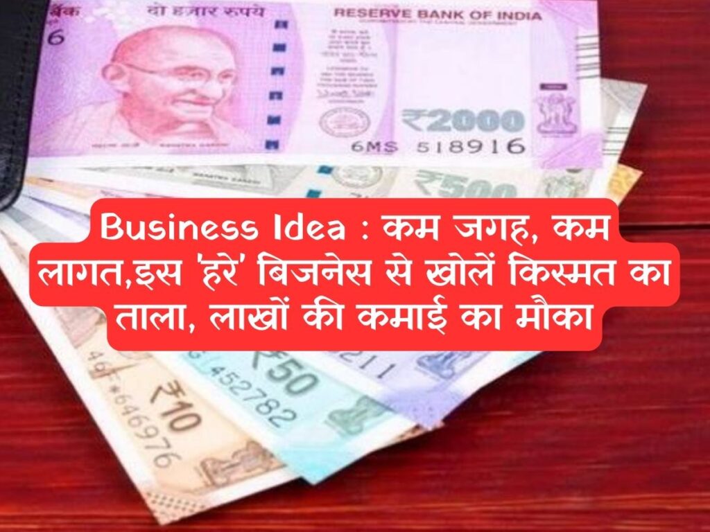 Business Idea : कम जगह, कम लागत,इस 'हरे' बिजनेस से खोलें किस्मत का ताला, लाखों की कमाई का मौका
