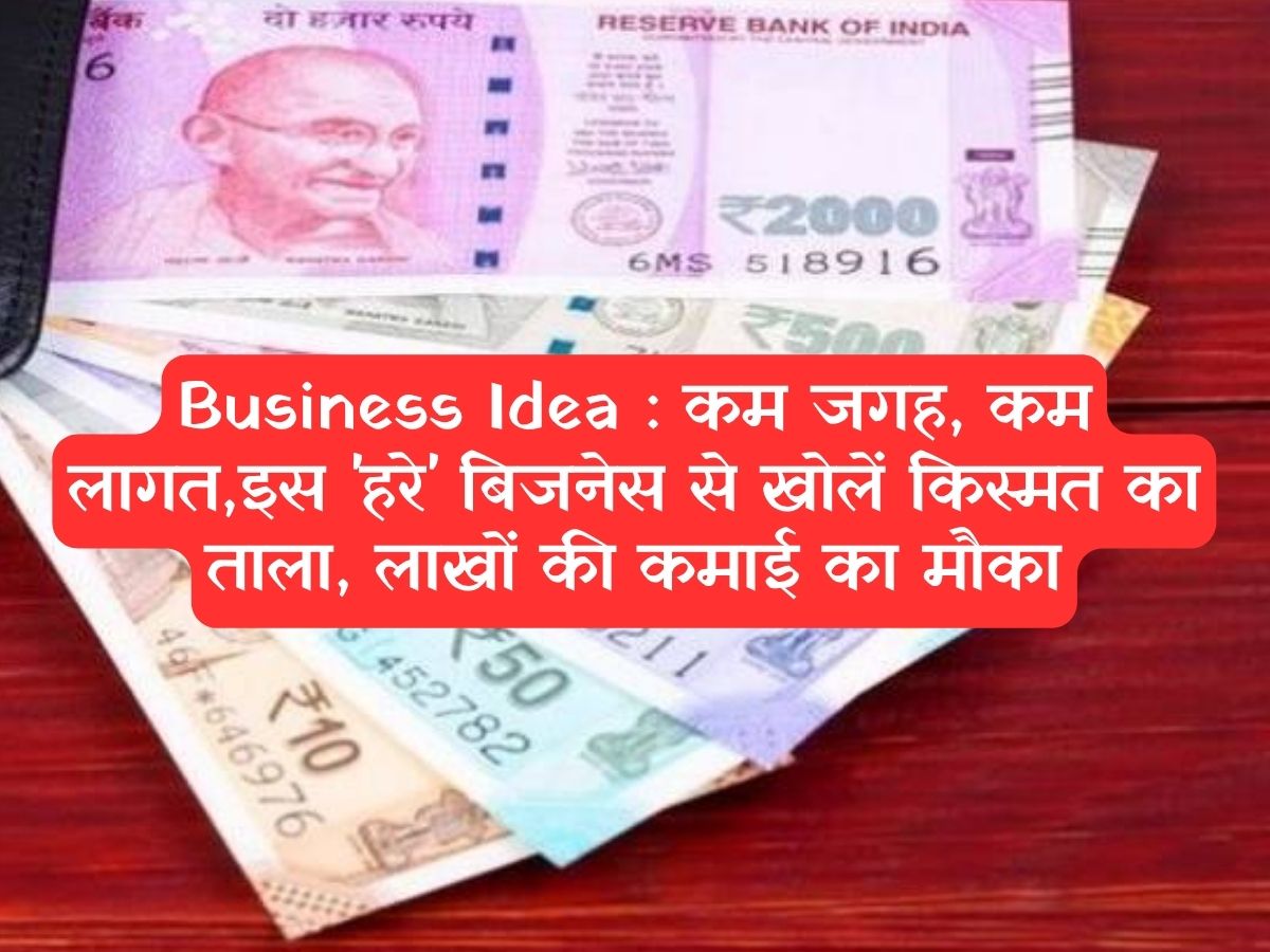 Business Idea : कम जगह, कम लागत,इस 'हरे' बिजनेस से खोलें किस्मत का ताला, लाखों की कमाई का मौका