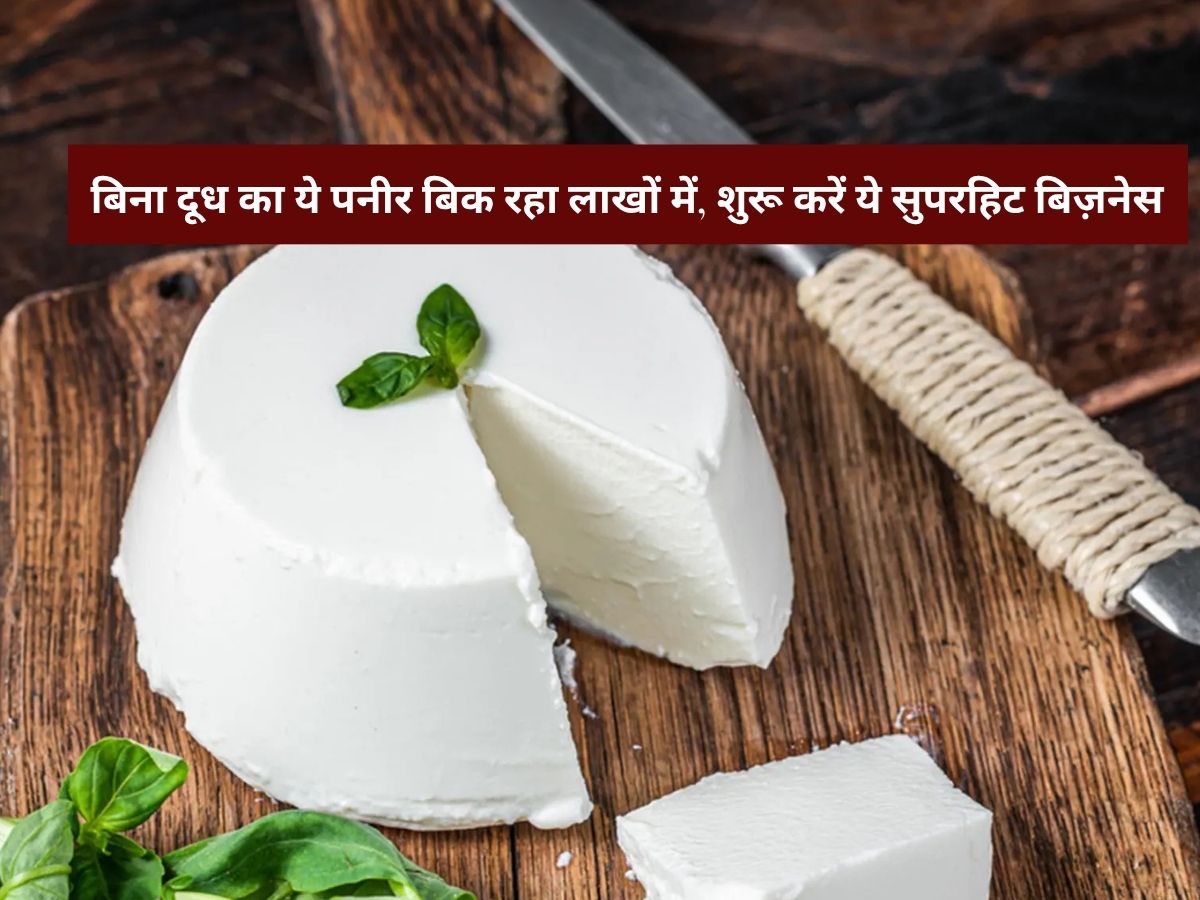 Business idea: बिना दूध का ये पनीर बिक रहा लाखों में, शुरू करें ये सुपरहिट बिज़नेस