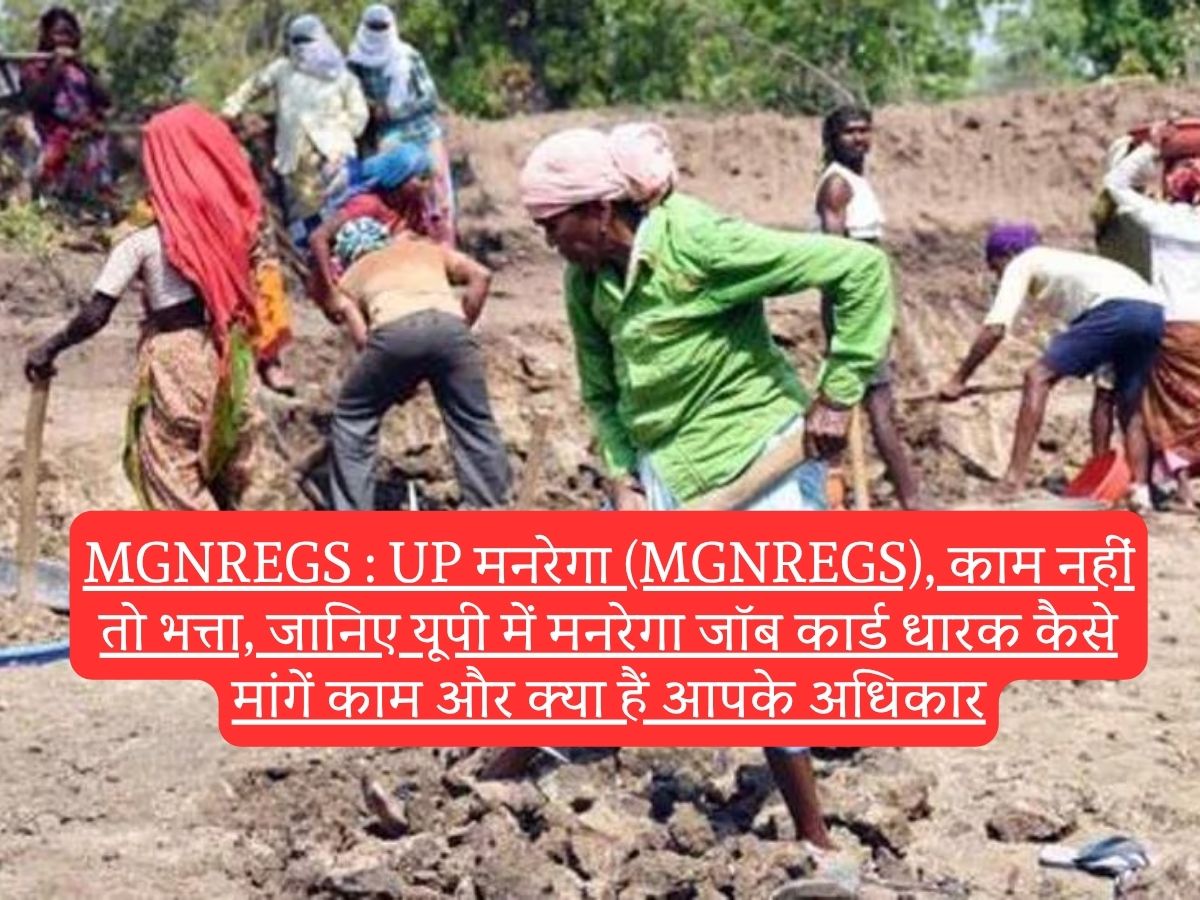MGNREGS : UP मनरेगा (MGNREGS), काम नहीं तो भत्ता, जानिए यूपी में मनरेगा जॉब कार्ड धारक कैसे मांगें काम और क्या हैं आपके अधिकार