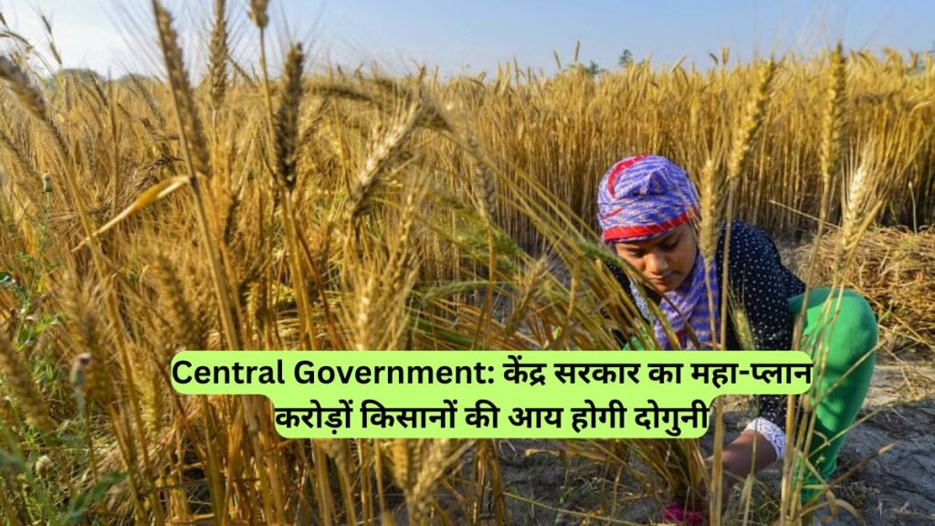 Central Government: केंद्र सरकार का महा-प्लान, करोड़ों किसानों की आय होगी दोगुनी