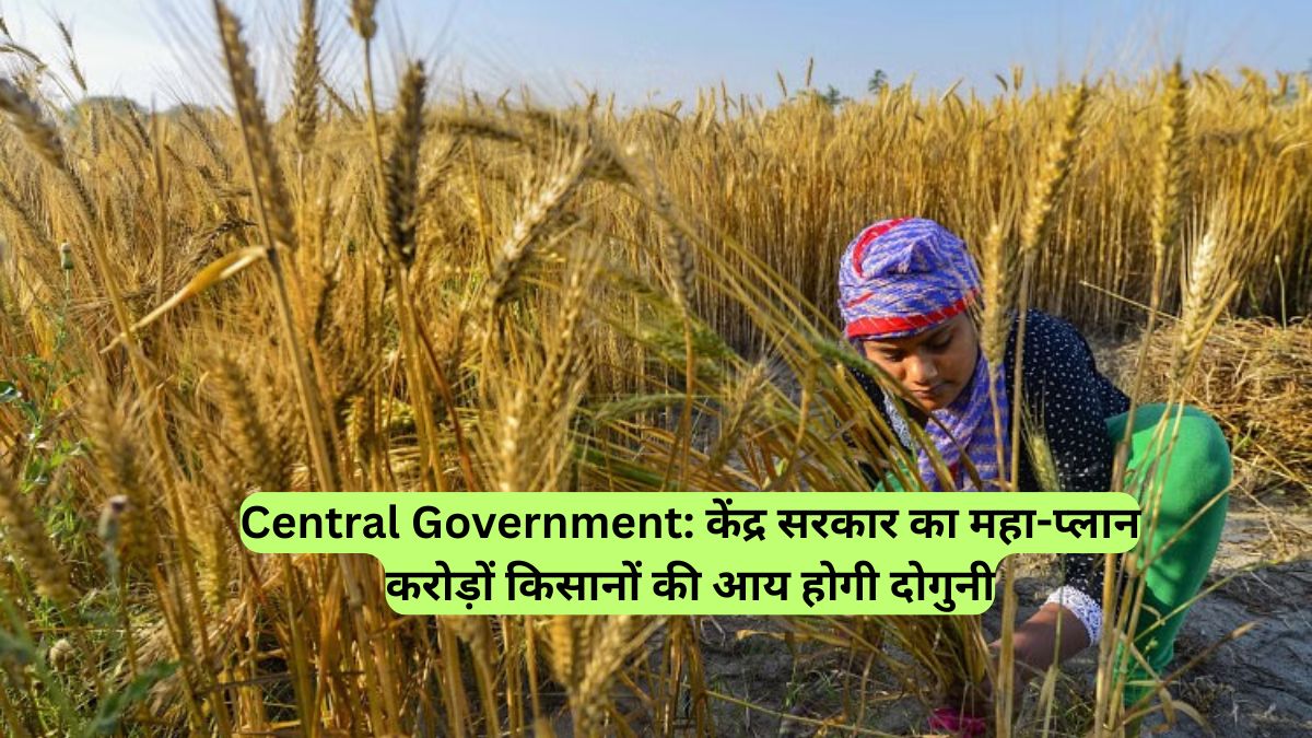 Central Government: केंद्र सरकार का महा-प्लान, करोड़ों किसानों की आय होगी दोगुनी
