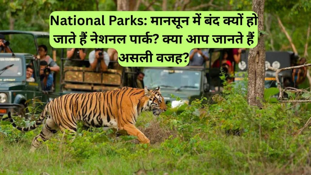 National Parks: मानसून में बंद क्यों हो जाते हैं नेशनल पार्क? क्या आप जानते हैं असली वजह?