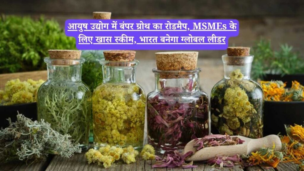 AYUSH Industry: आयुष उद्योग में बंपर ग्रोथ का रोडमैप, MSMEs के लिए खास स्कीम, भारत बनेगा ग्लोबल लीडर