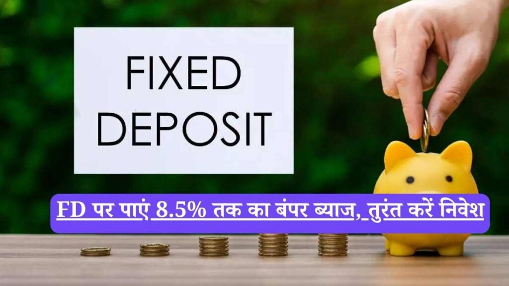 FD पर पाएं 8.5% तक का बंपर ब्याज, तुरंत करें निवेश
