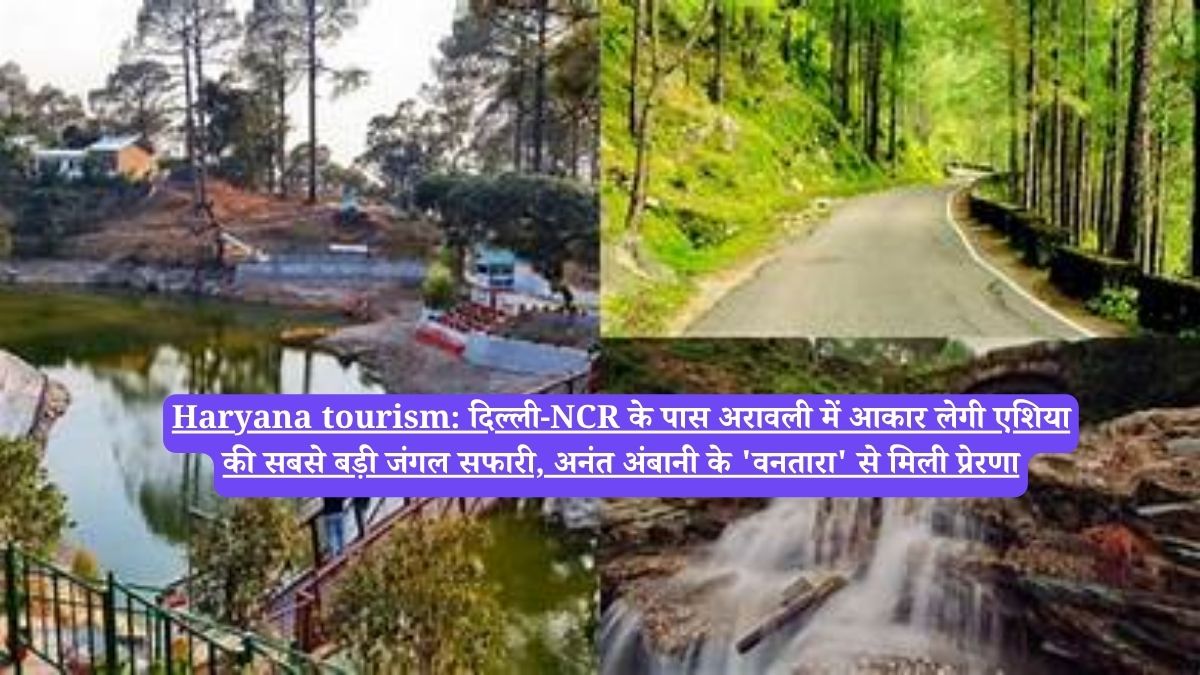 Haryana tourism: दिल्ली-NCR के पास अरावली में आकार लेगी एशिया की सबसे बड़ी जंगल सफारी, अनंत अंबानी के 'वनतारा' से मिली प्रेरणा
