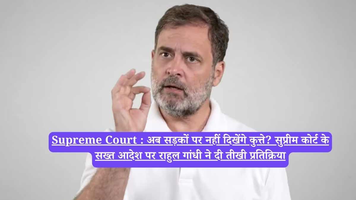 Supreme Court : अब सड़कों पर नहीं दिखेंगे कुत्ते? सुप्रीम कोर्ट के सख्त आदेश पर राहुल गांधी ने दी तीखी प्रतिक्रिया