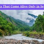  Treks in September India: 9 Treks That Come Alive Only in September