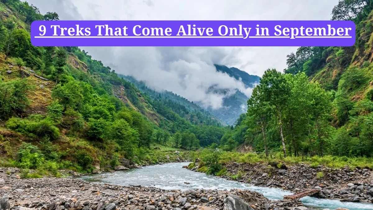  Treks in September India: 9 Treks That Come Alive Only in September