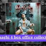 Baaghi 4 box office collection: टाइगर श्रॉफ की एक्शन थ्रिलर ने भारत में कमाए ₹6.74 करोड़