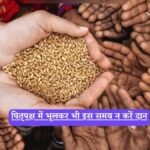 Pitru Paksha: पितृपक्ष में भूलकर भी इस समय न करें दान, पितर हो जाएंगे नाराज, जानें 9 सितंबर का शुभ-अशुभ मुहूर्त