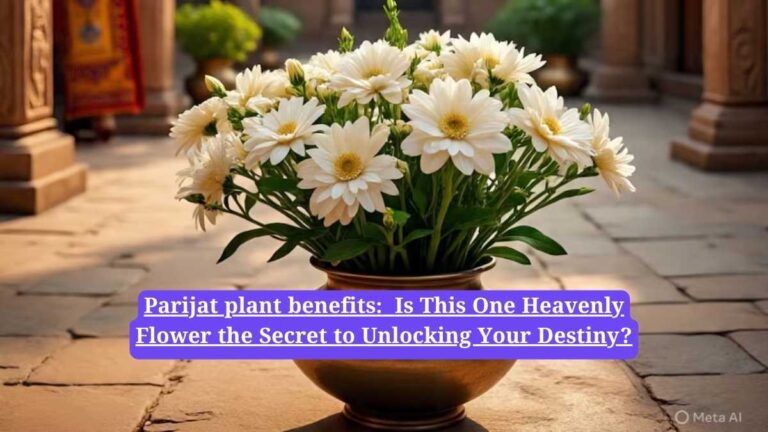 Parijat plant benefits: Is This One Heavenly Flower the Secret to Unlocking Your Destiny?