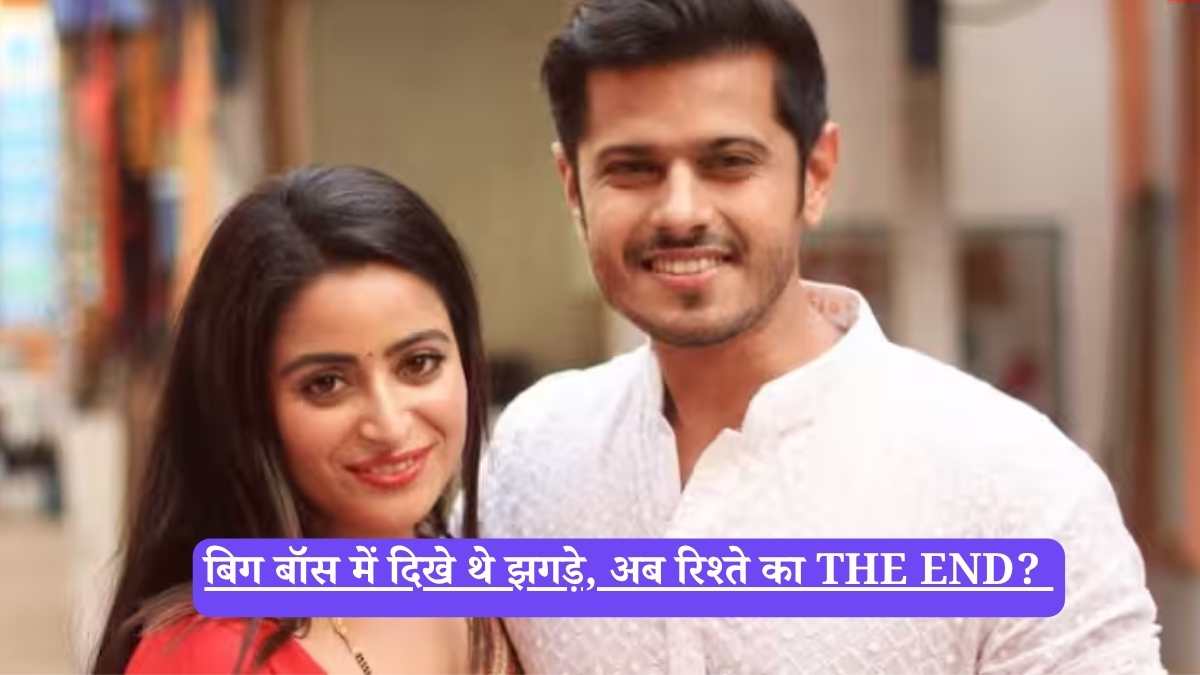 Aishwarya Neil separation: बिग बॉस में दिखे थे झगड़े, अब रिश्ते का THE END?