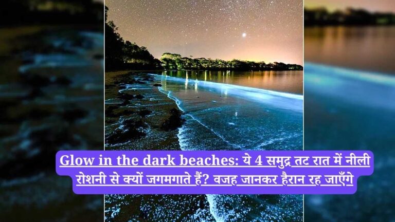 Glow in the dark beaches: ये 4 समुद्र तट रात में नीली रोशनी से क्यों जगमगाते हैं? वजह जानकर हैरान रह जाएँगे