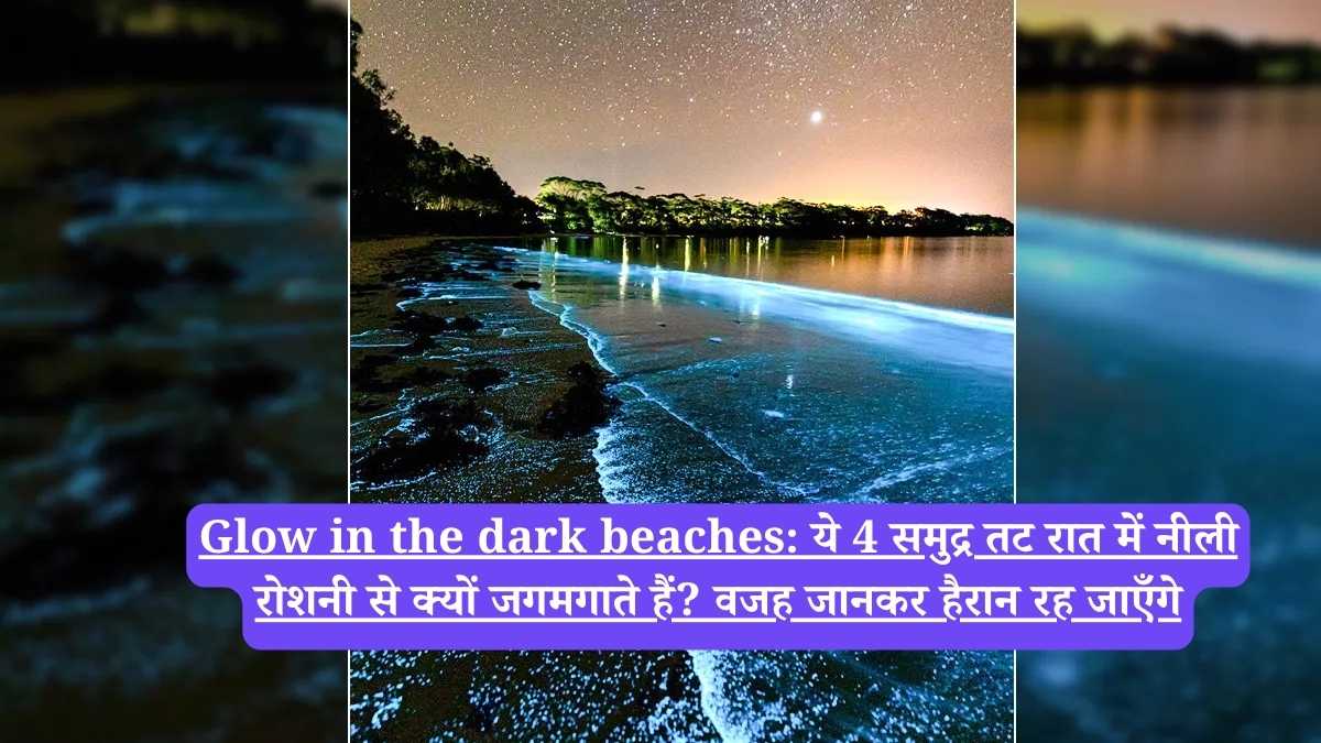 Glow in the dark beaches: ये 4 समुद्र तट रात में नीली रोशनी से क्यों जगमगाते हैं? वजह जानकर हैरान रह जाएँगे