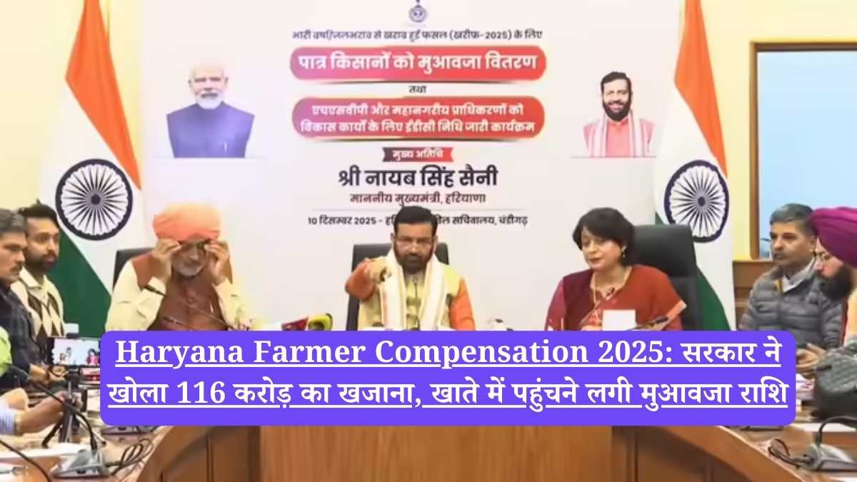 Haryana Farmer Compensation 2025: सरकार ने खोला 116 करोड़ का खजाना, खाते में पहुंचने लगी मुआवजा राशि