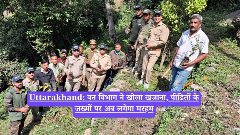 Uttarakhand: वन विभाग ने खोला खजाना, पीड़ितों के जख्मों पर अब लगेगा मरहम