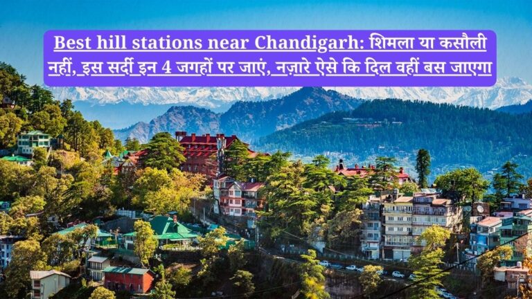 Best hill stations near Chandigarh: शिमला या कसौली नहीं, इस सर्दी इन 4 जगहों पर जाएं, नज़ारे ऐसे कि दिल वहीं बस जाएगा