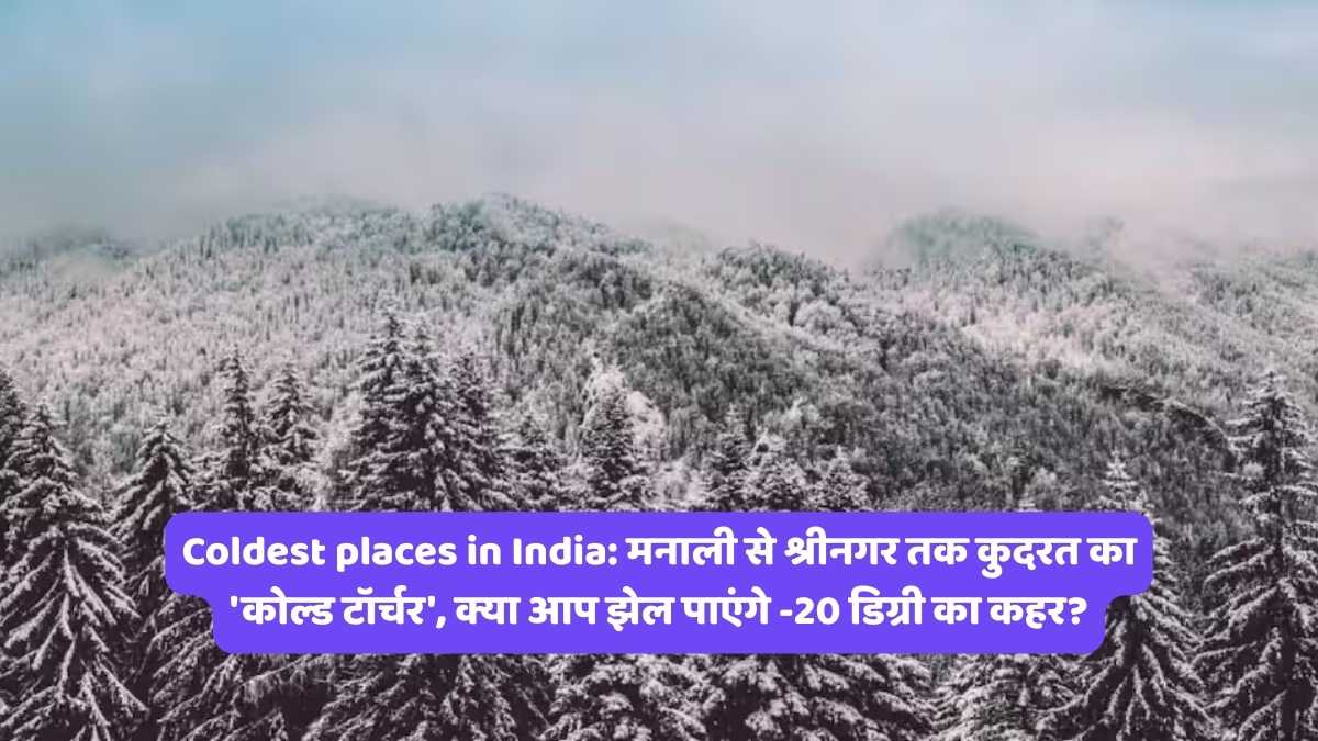 Coldest places in India: मनाली से श्रीनगर तक कुदरत का 'कोल्ड टॉर्चर', क्या आप झेल पाएंगे -20 डिग्री का कहर?