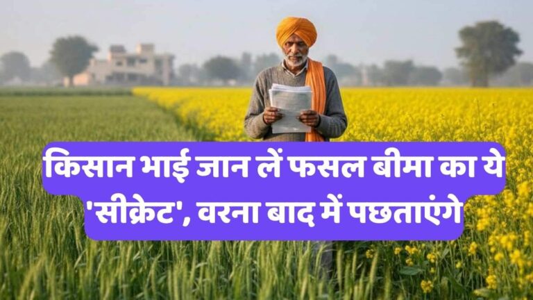 PM Fasal Bima Yojana: किसान भाई जान लें फसल बीमा का ये 'सीक्रेट', वरना बाद में पछताएंगे