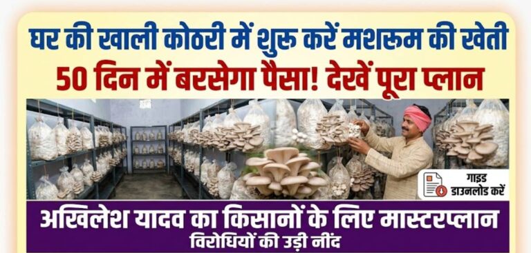 Low cost farming tips in Hindi: घर की खाली कोठरी में शुरू करें यह काम, 50 दिन में बरसेगा पैसा—देखें पूरा प्लान