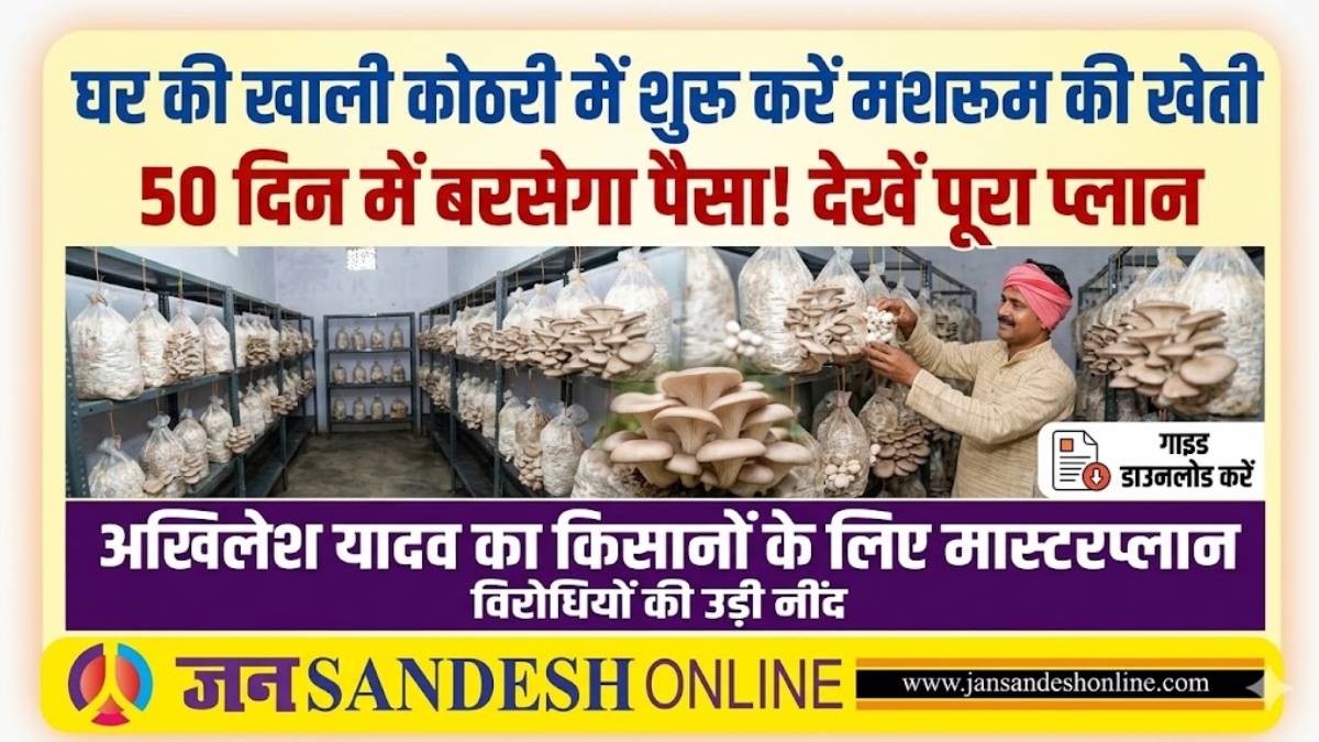 Low cost farming tips in Hindi: घर की खाली कोठरी में शुरू करें यह काम, 50 दिन में बरसेगा पैसा—देखें पूरा प्लान